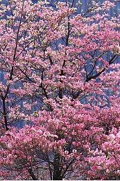 2D动作游戏《Worldless》宣布延期 11月21日发售